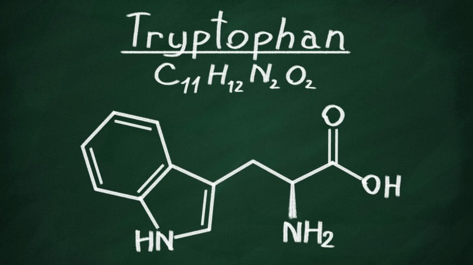 Comment utiliser les suppléments de tryptophane sommeil pour profiter de ses bienfaits